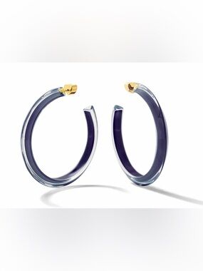 Alison Lou Fall Medium Lucite Jelly Hoop Earrings